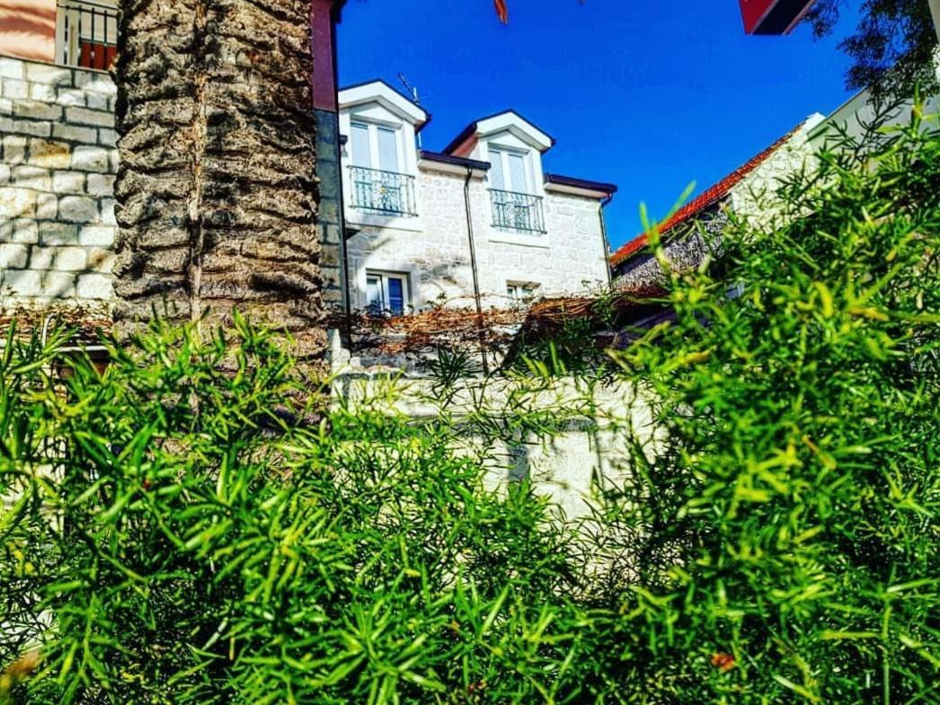 Apartmani Marina Gradac Gradac (Split-Dalmatia) Exterior foto